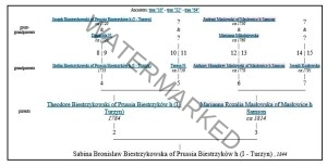 Sabina Biestrzykowska's family tree