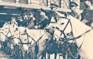 The Russians on their horses