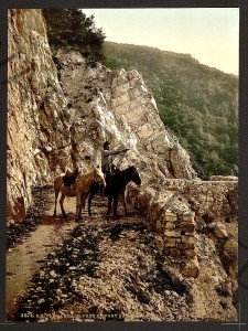 Near the Bagatski Bridge