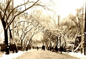 Bubbling Well Road's residential area with snow